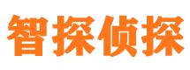 炎陵寻人公司